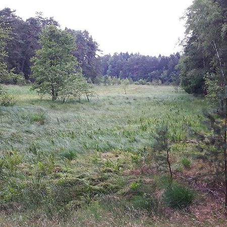 Ferienwohnung An Der Sudheide 80 Qm Max 4 Personen Dedelstorf Bagian luar foto